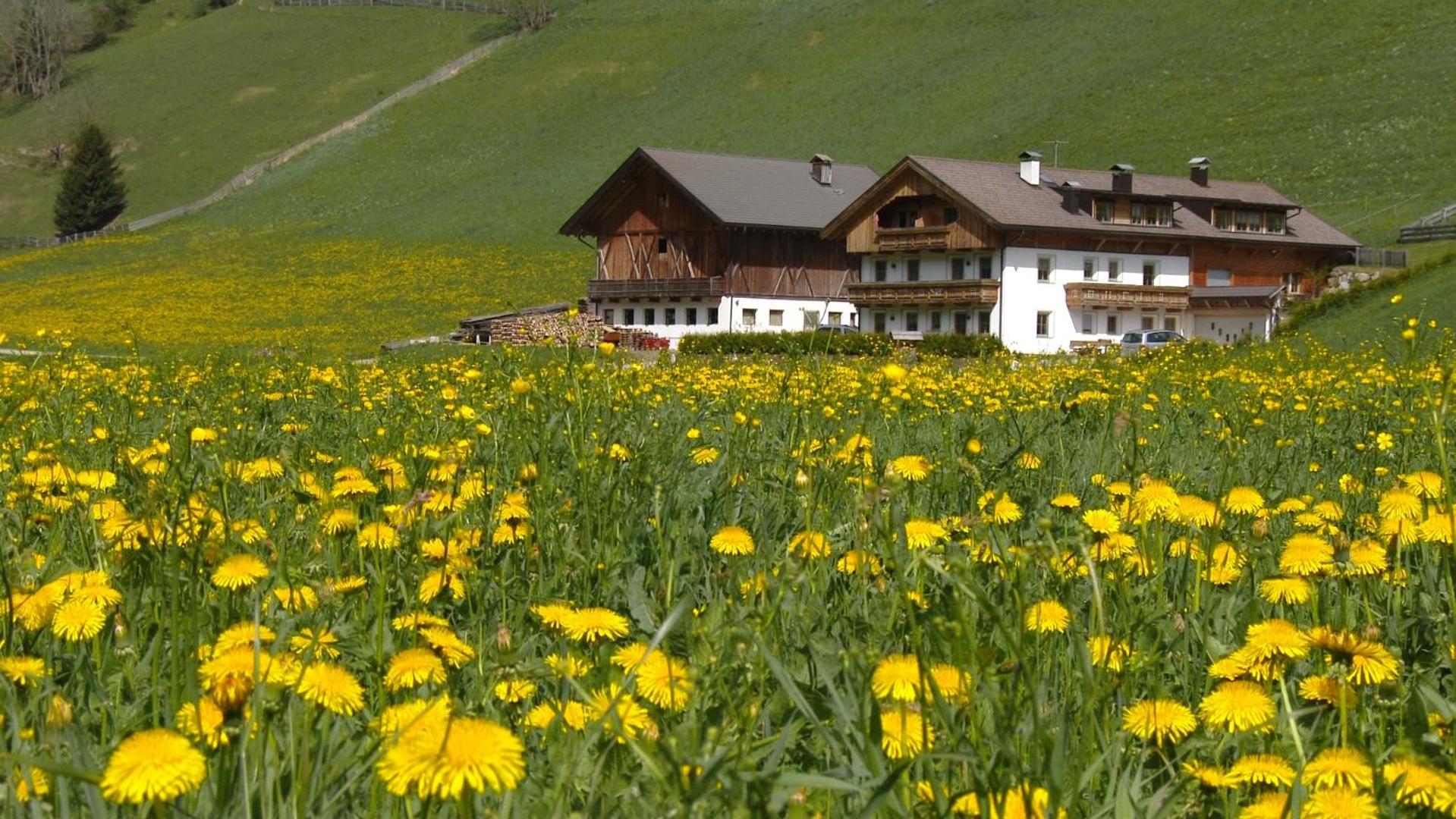 Parggenhof Villa San Candido Exterior photo